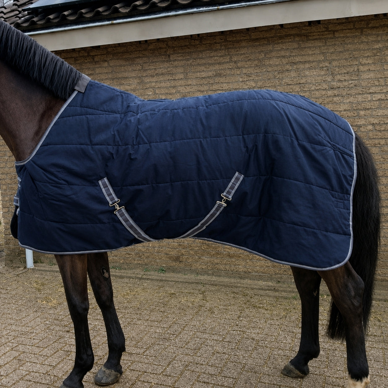 Stalpaardendeken 1200 denier ripstop – 300 g zwaargewicht - POD