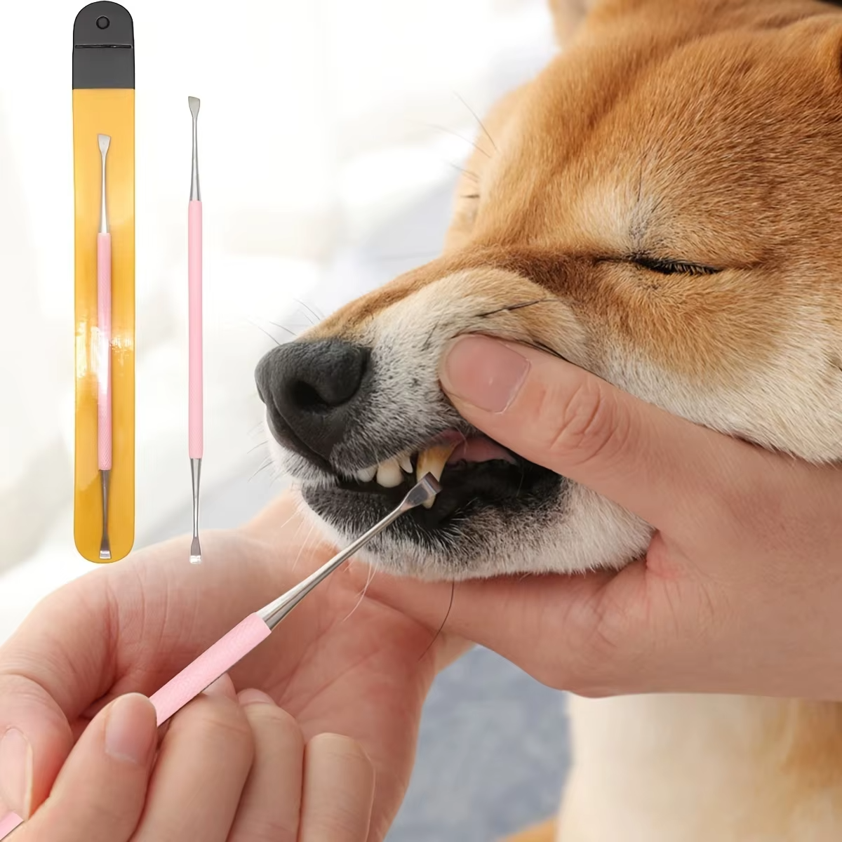 Tandsteenkrabber voor Huisdieren