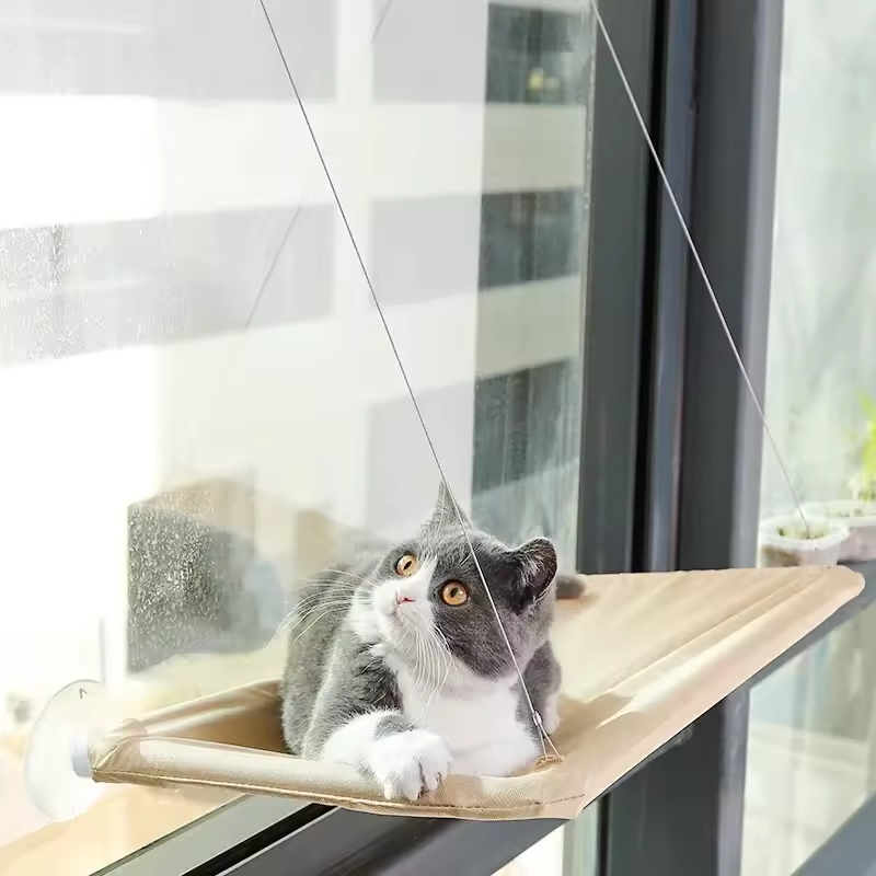 Cat Window Hammock Bed