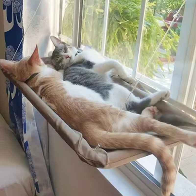 Cat Window Hammock Bed