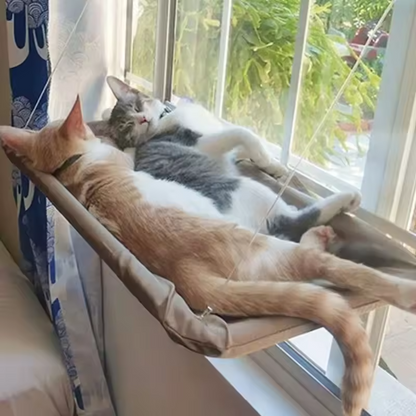 Cat Window Hammock Bed