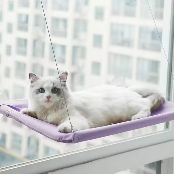 Cat Window Hammock Bed