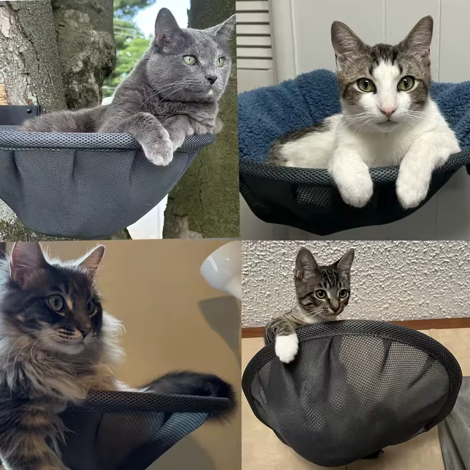 Wandmontierte Katzenhängematte