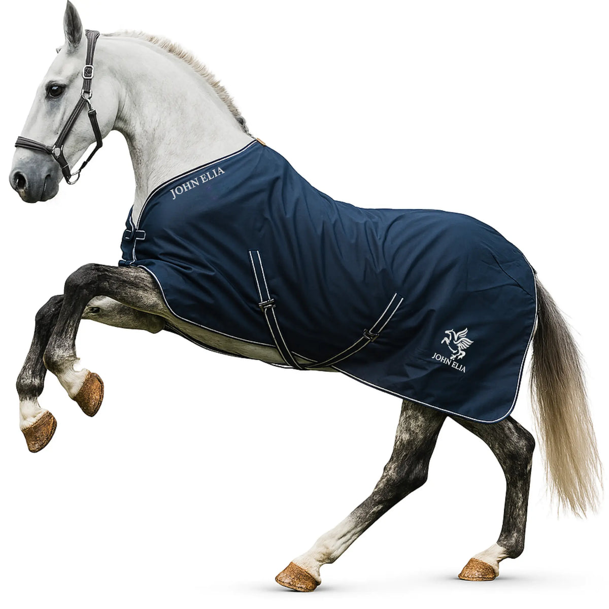 Horse wearing John Elia waterproof 1200D turnout rug in navy blue with white trim, lightweight 0g outdoor horse rug for field turnout.